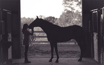 Pferdefutter bei Verdauungsbeschwerden