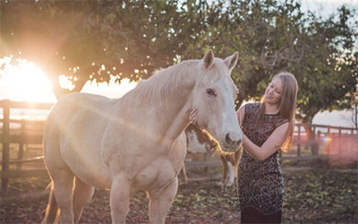 Pferdefutter Senioren