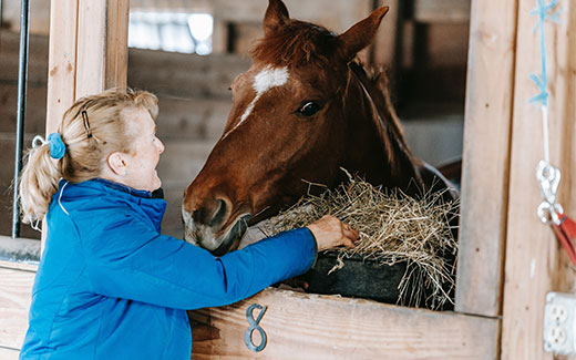 Raufutter – Heu & Stroh