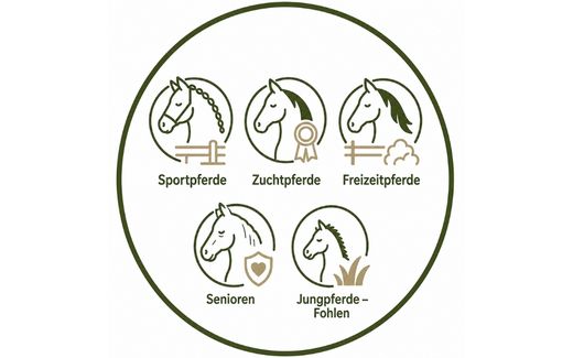 Pferdecharaktere - Verstehen & Versorgen