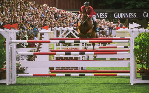 Ernährung für Sportpferde